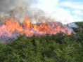 /album/fotogaleria/incendios-forestales-01-2-1-jpg/